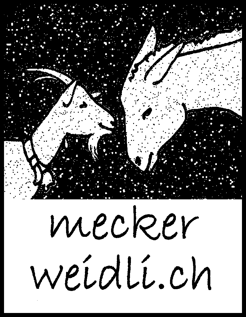Esel Wagen Fahrten Meckerweidli Mit Dem Von Einem Esel