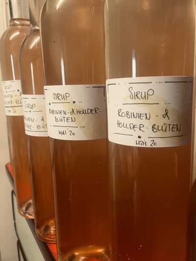 Hollderblüten-Sirup