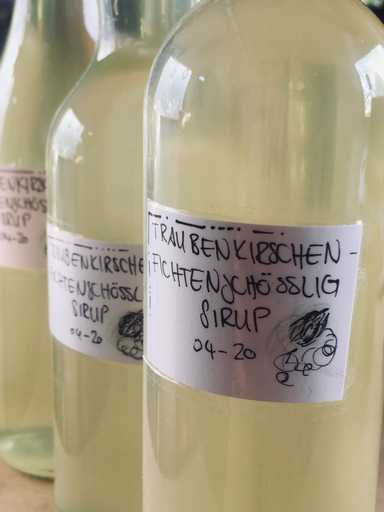 Fichtenschösslig-Sirup